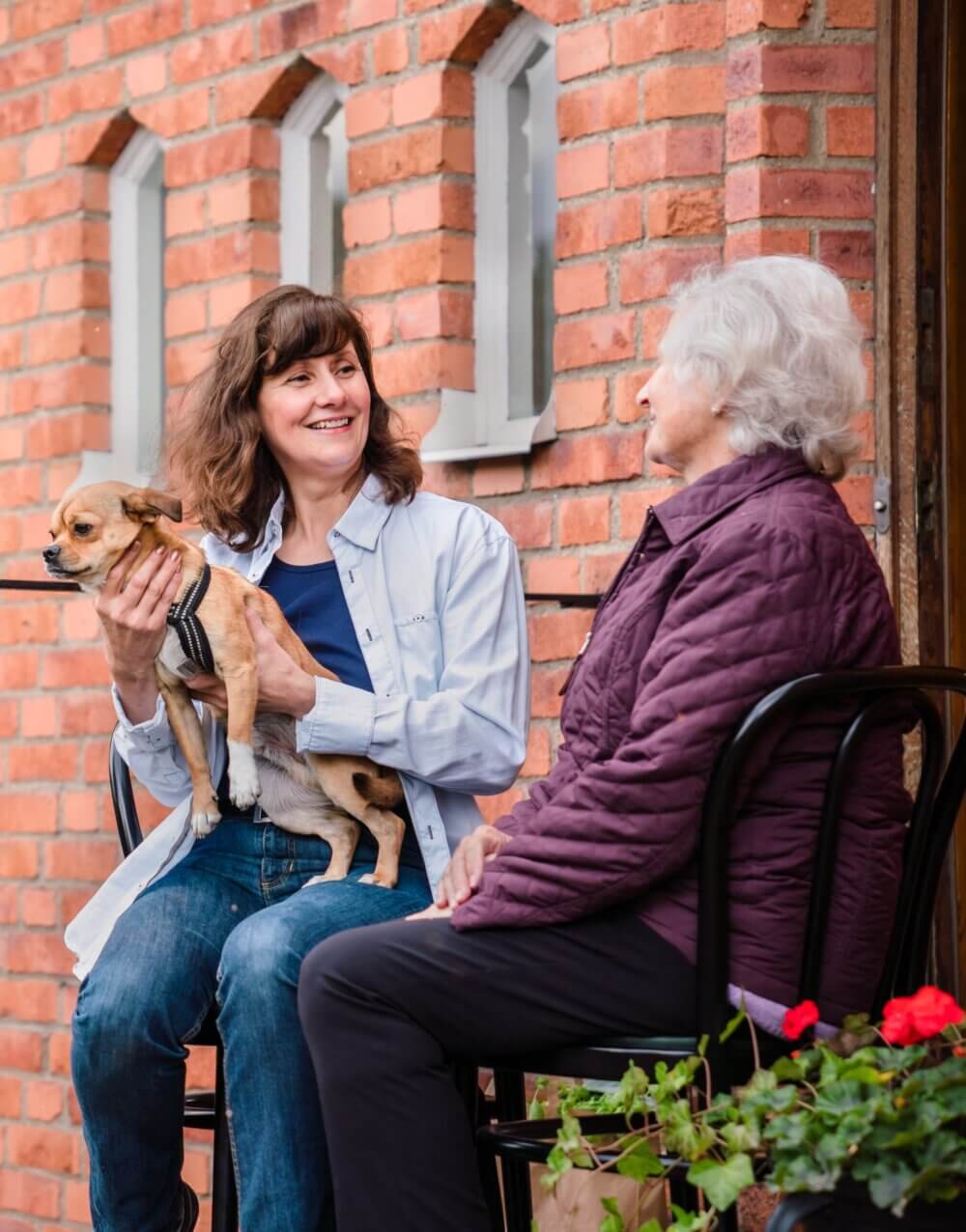 Two women, one holding a small dog, chatting joyfully while seated outside; brick wall and red flowers in the background. - Home Instead