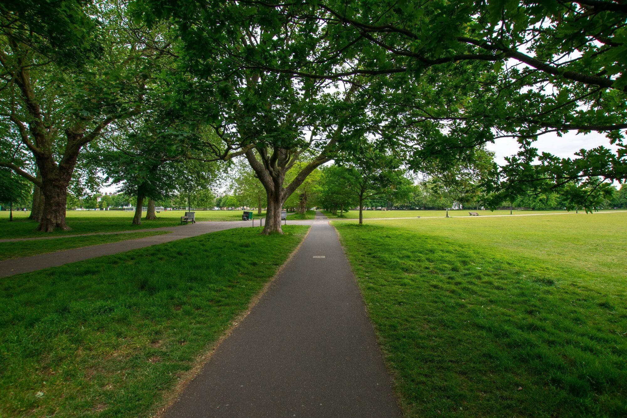 A paved path divides a green park with trees and grass on both sides, extending towards the horizon. - Home Instead