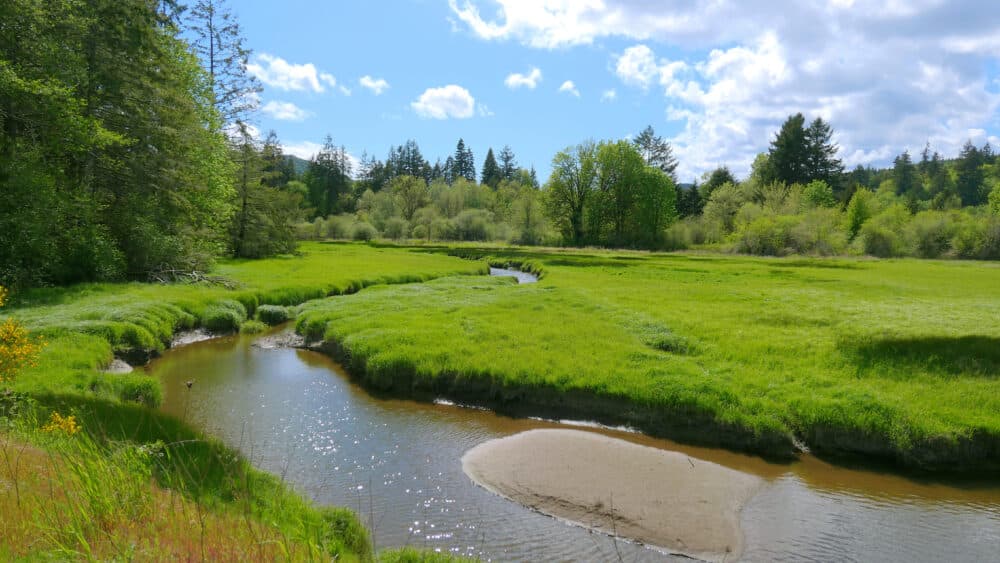 A tranquil creek winds through a lush green meadow with trees in the background under a partly cloudy sky. - Home Instead