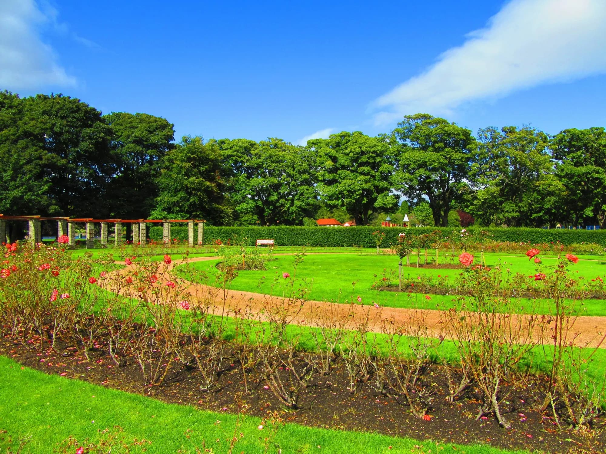 A vibrant garden with blooming flowers, a winding path, green lawns, and trees under a bright blue sky. - Home Instead