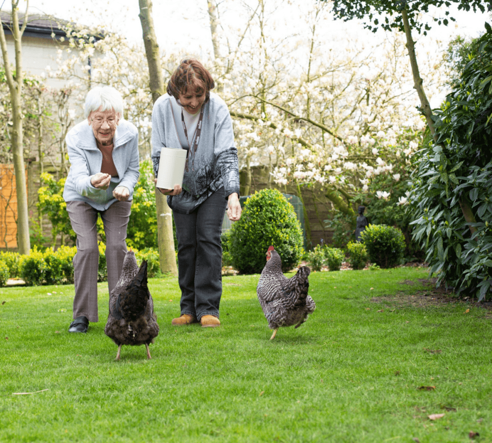 Home care support