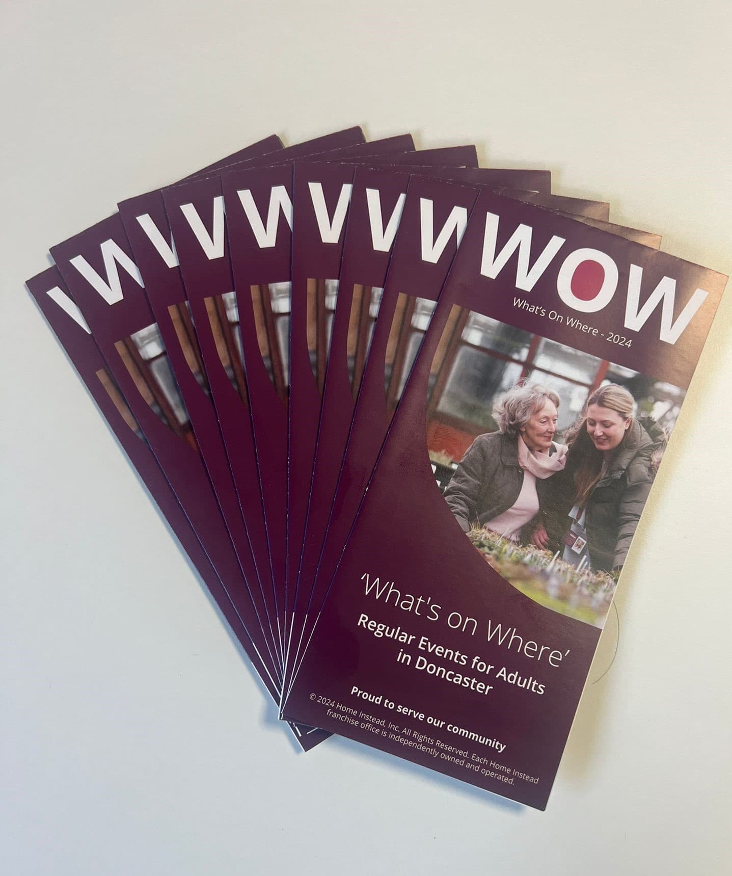 Image of WOW Guides all laid out on a table.
