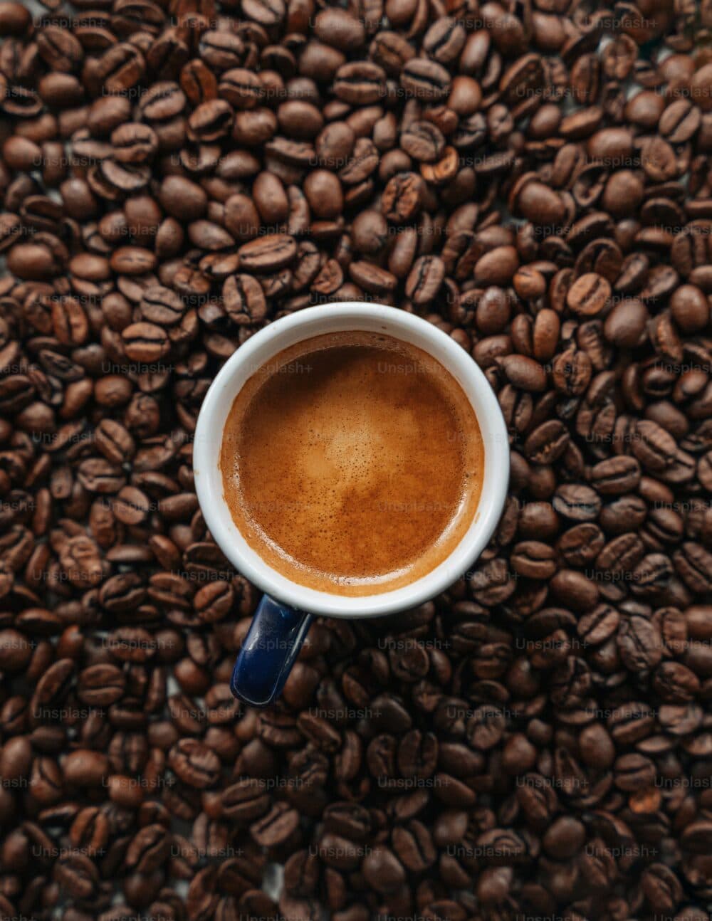A cup of espresso sits on a bed of coffee beans, viewed from above. - Home Instead