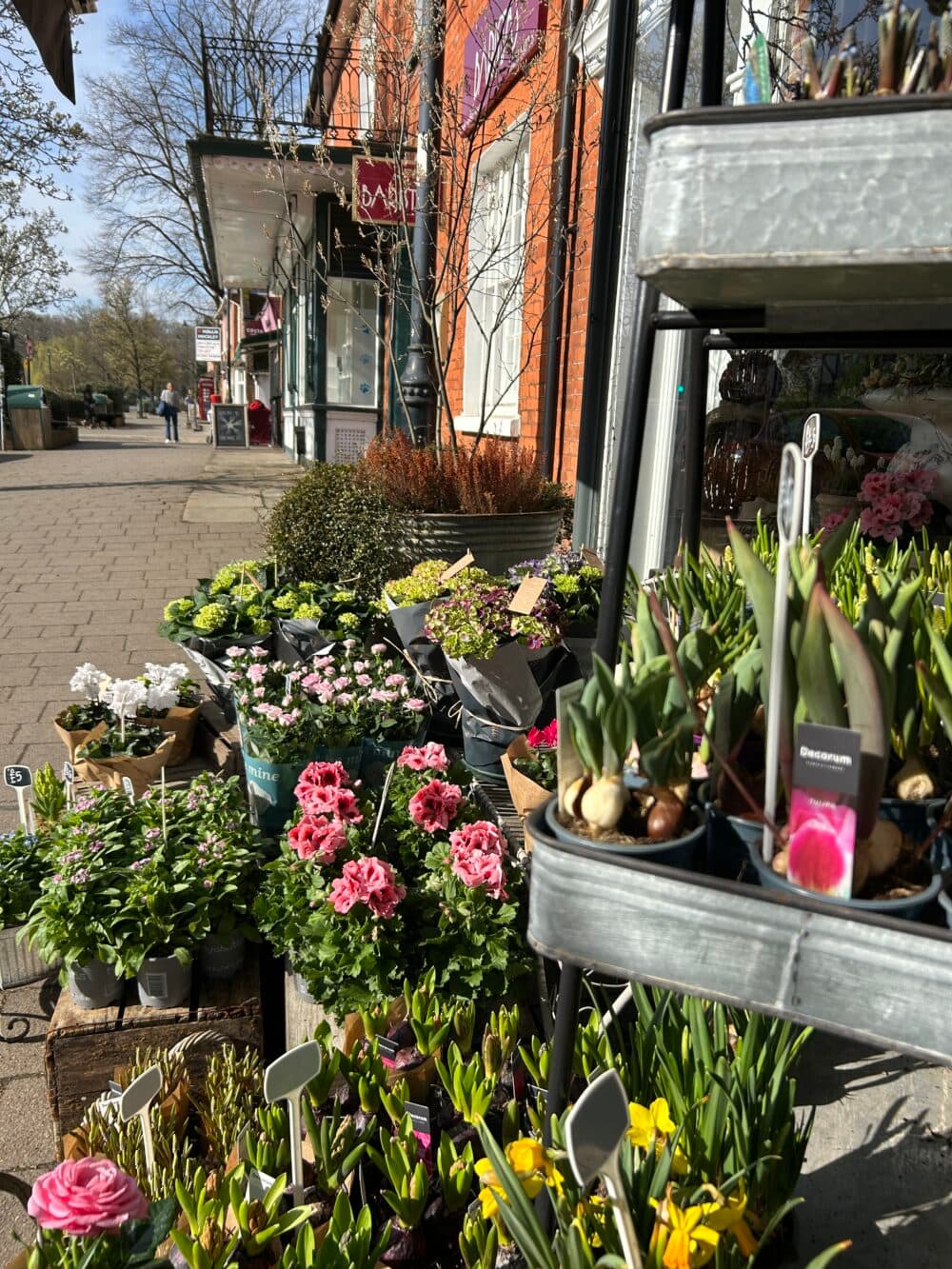 Hartley Wintney High Street, showing a wide pedestrian path in front of shops and a florist's display of flowers on sale in the foreground