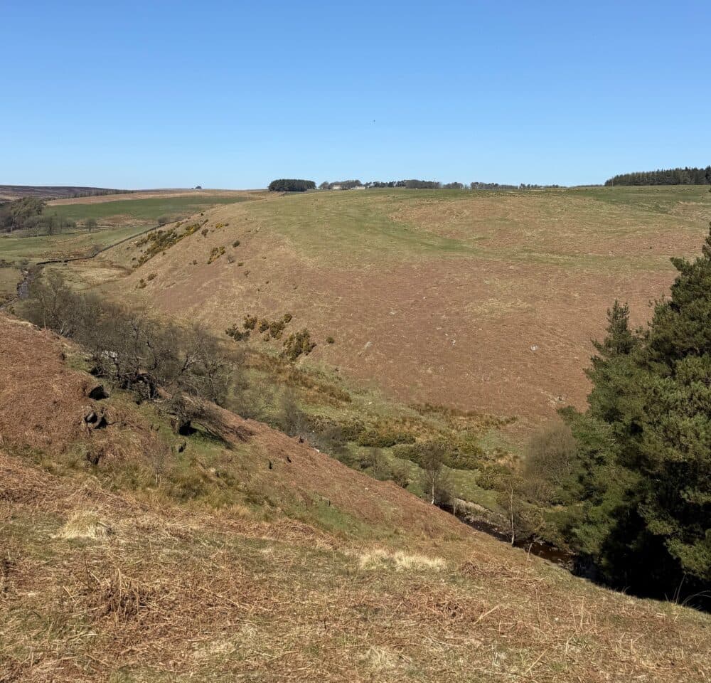 Thuscross scene