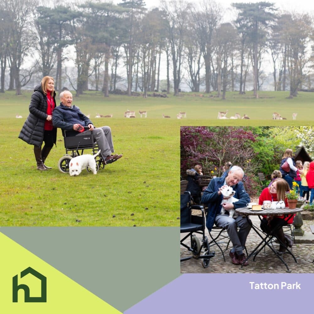 A man in a wheelchair enjoys Tatton Park with a woman and dog; people and deer are seen in the background. - Home Instead