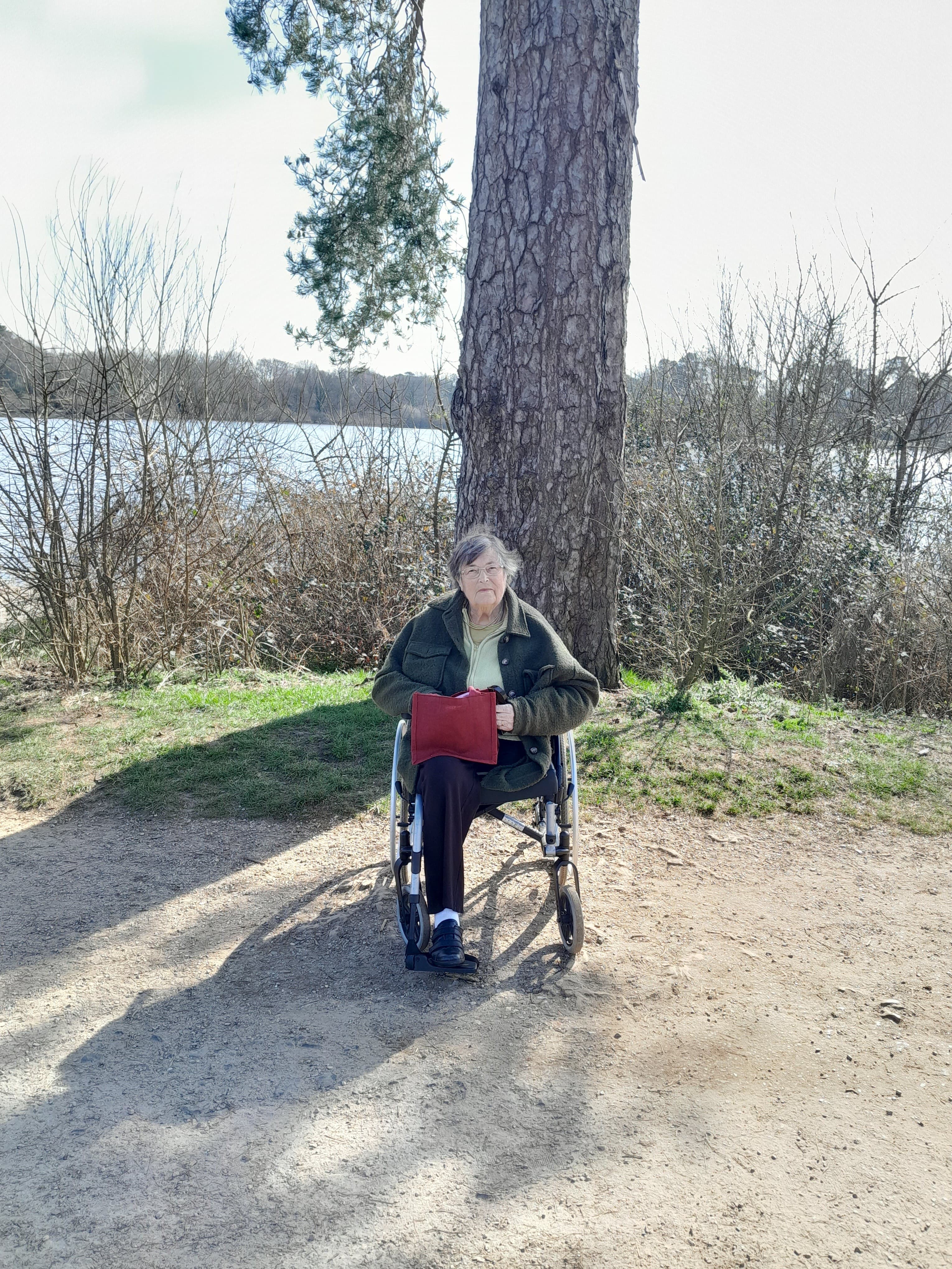 An older woman in a wheelchair sits by a tree near a lake, holding a red bag on her lap. - Home Instead