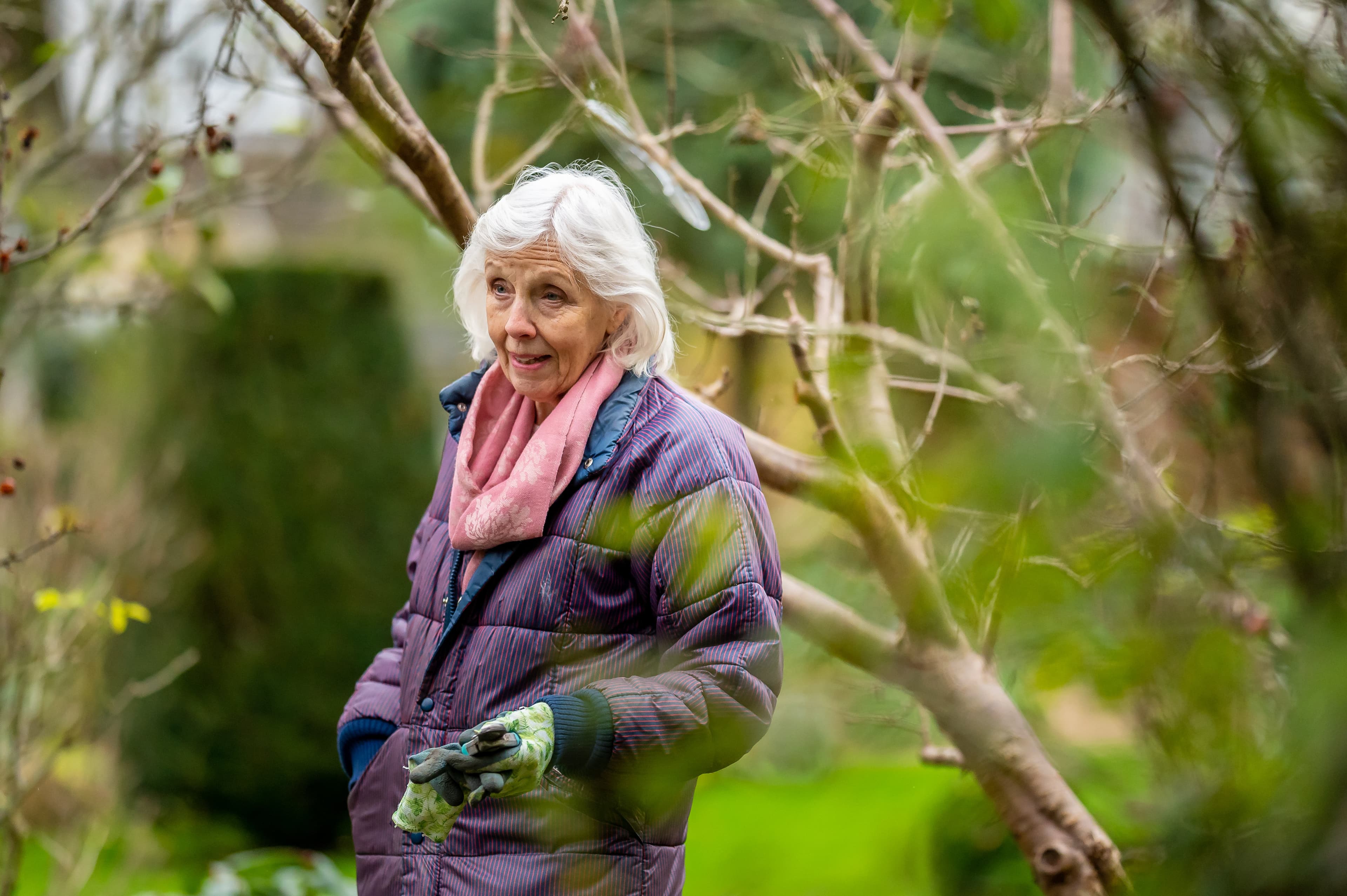 Elderly woman in a purple coat and pink scarf gardening outdoors among bare tree branches. - Home Instead